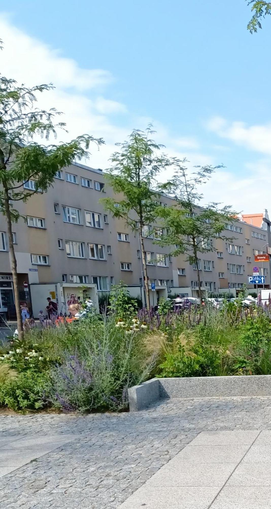 Kotlarska Apartment Βρότσλαβ Εξωτερικό φωτογραφία