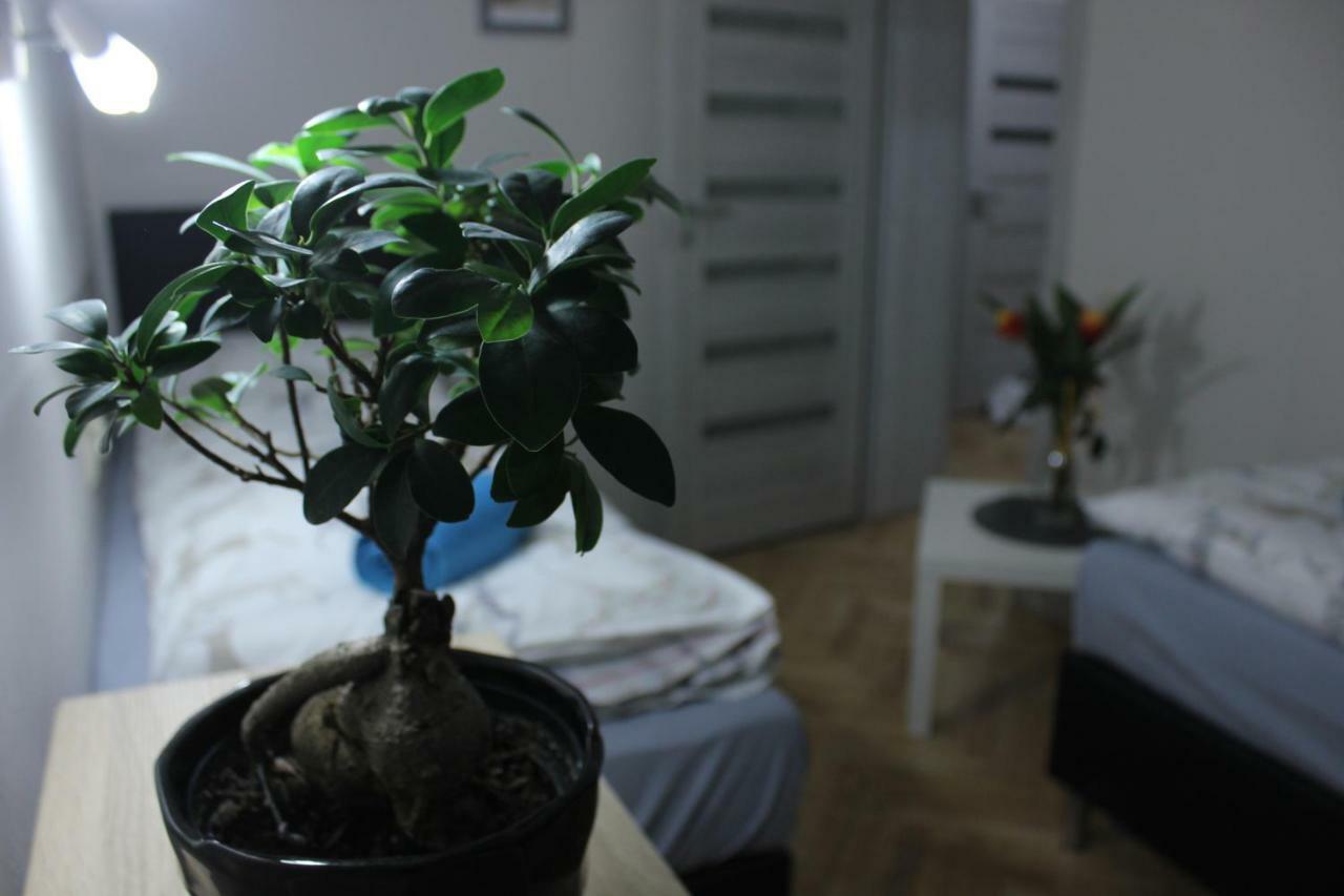Kotlarska Apartment Βρότσλαβ Εξωτερικό φωτογραφία
